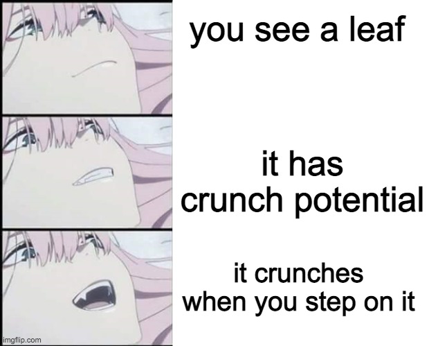I stepped on a leaf | you see a leaf; it has crunch potential; it crunches when you step on it | image tagged in crunchy leaf | made w/ Imgflip meme maker