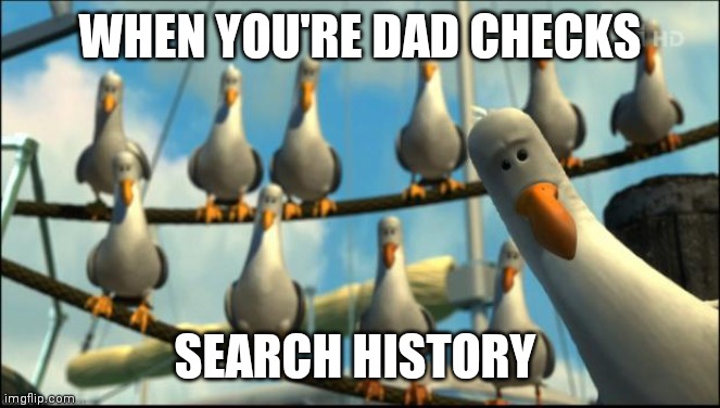 Teenagers be like | WHEN YOU'RE DAD CHECKS; SEARCH HISTORY | image tagged in nemo seagulls mine | made w/ Imgflip meme maker