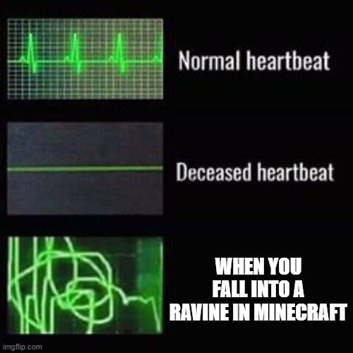 Ay Caramba! | WHEN YOU FALL INTO A RAVINE IN MINECRAFT | image tagged in heartbeat rate,memes | made w/ Imgflip meme maker