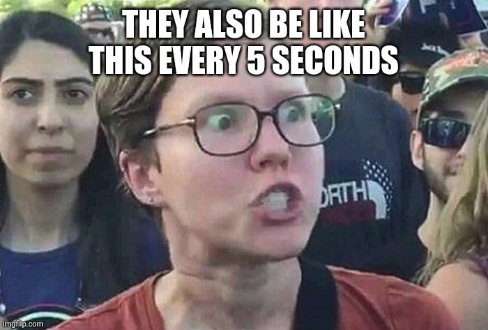 Triggered Liberal | THEY ALSO BE LIKE THIS EVERY 5 SECONDS | image tagged in triggered liberal | made w/ Imgflip meme maker