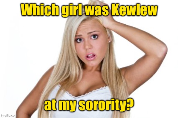 Dumb Blonde | Which girl was Kewlew at my sorority? | image tagged in dumb blonde | made w/ Imgflip meme maker