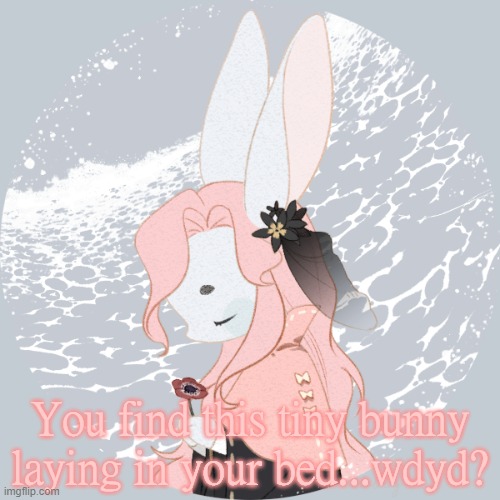 You'll understand why it's in this stream if you just ya know rp with me | You find this tiny bunny laying in your bed...wdyd? | image tagged in bunny,bed,roleplaying,rabbit | made w/ Imgflip meme maker