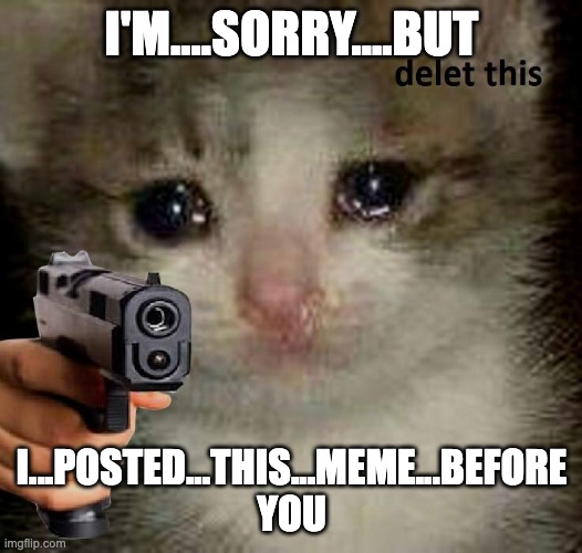 Crying cat with gun | I'M....SORRY....BUT I...POSTED...THIS...MEME...BEFORE YOU | image tagged in crying cat with gun | made w/ Imgflip meme maker