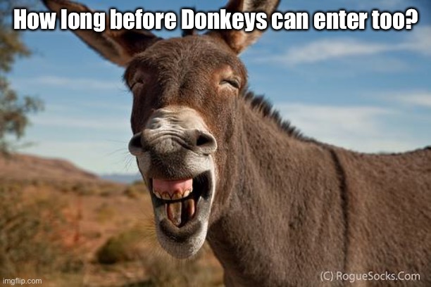 Donkey Jackass Braying | How long before Donkeys can enter too? | image tagged in donkey jackass braying | made w/ Imgflip meme maker