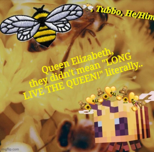 Tubbo | Queen Elizabeth, they didn't mean "LONG LIVE THE QUEEN!" literally.. | image tagged in tubbo | made w/ Imgflip meme maker