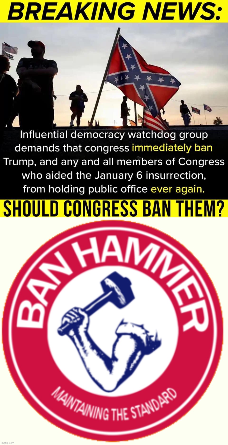 It won’t happen, but it’s common sense. Non-treasonous Republicans can take their place. | image tagged in jan 6 republicans,banhammer | made w/ Imgflip meme maker