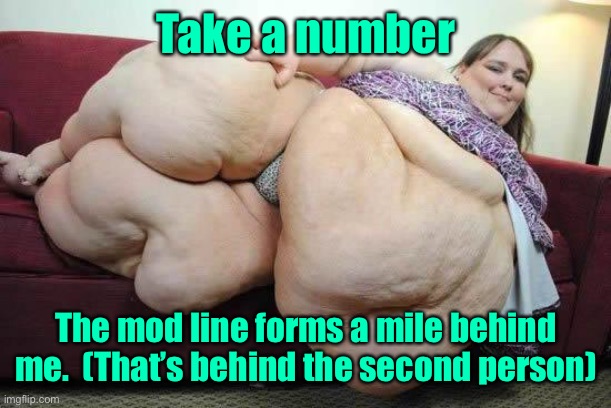 fat girl | Take a number The mod line forms a mile behind me.  (That’s behind the second person) | image tagged in fat girl | made w/ Imgflip meme maker