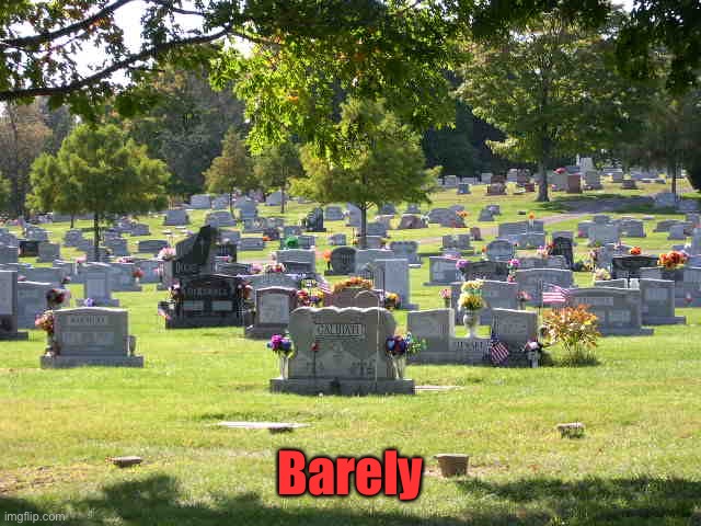 cemetery | Barely | image tagged in cemetery | made w/ Imgflip meme maker