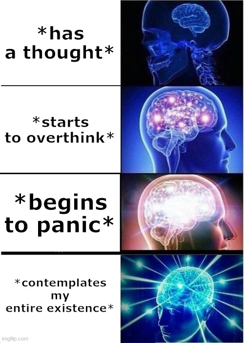 how fun | *has a thought*; *starts to overthink*; *begins to panic*; *contemplates my entire existence* | image tagged in memes,expanding brain | made w/ Imgflip meme maker