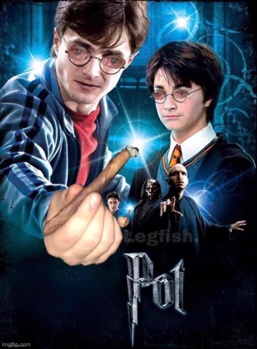 le p o t | image tagged in pot,harry potter,harold trotter | made w/ Imgflip meme maker