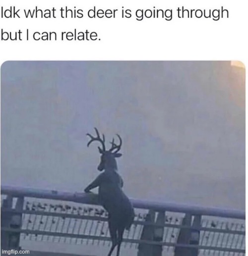 I feel it. | image tagged in idk what this deer is going thru,lol,depression | made w/ Imgflip meme maker