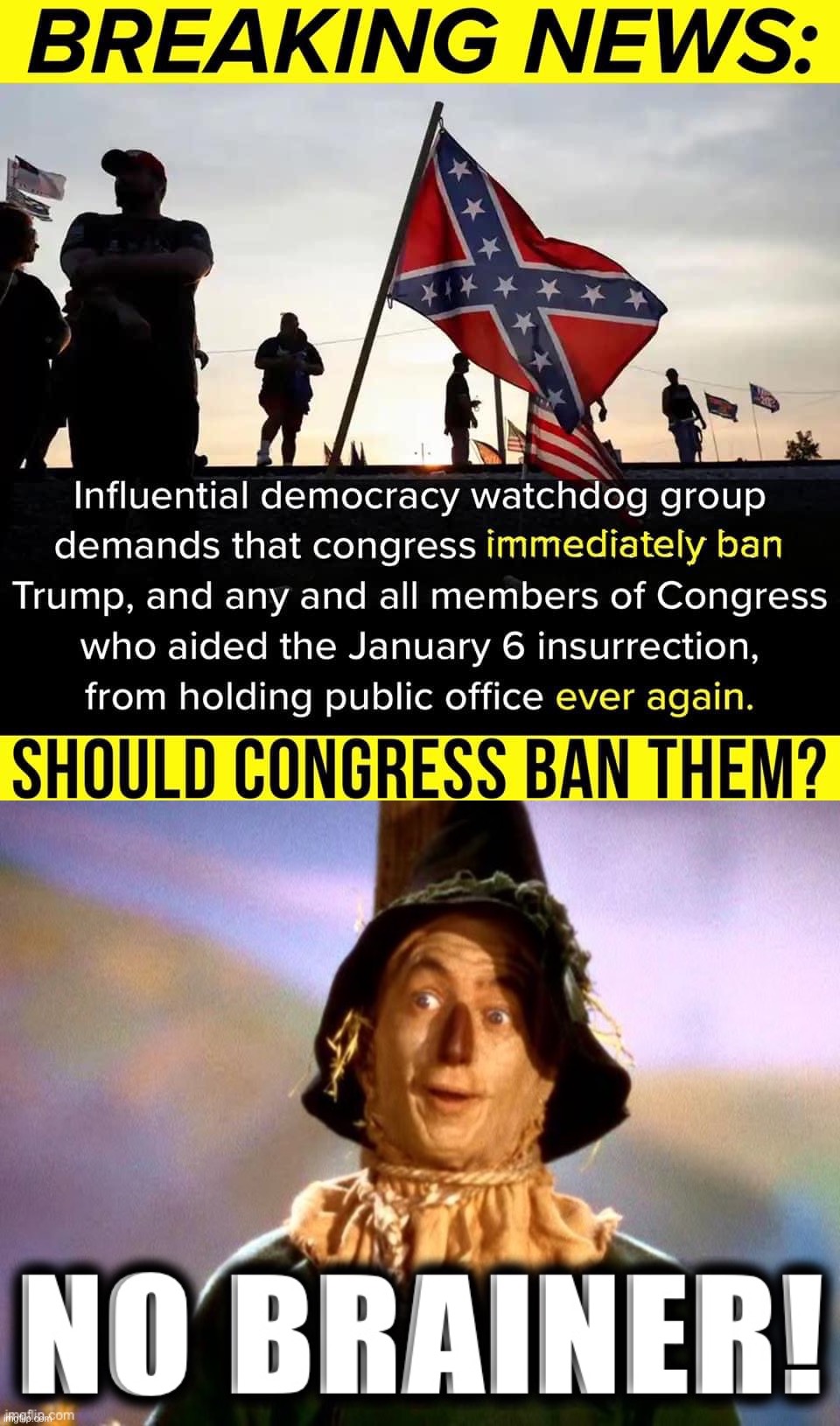 Democracy proceeds according to set rules — like a game — and those who can’t play by them are cheaters. | image tagged in jan 6 republicans,wizard of oz scarecrow no brainer,fascists,fascist,fascism,democracy | made w/ Imgflip meme maker
