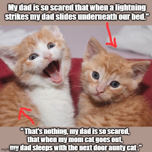 scared cat | My dad is so scared that when a lightning strikes my dad slides underneath our bed."; " That's nothing, my dad is so scared, 
that when my mom cat goes out, 
my dad sleeps with the next door aunty cat ." | image tagged in courage | made w/ Imgflip meme maker