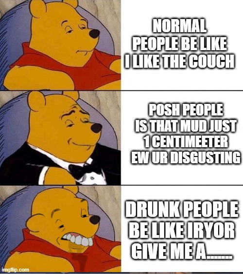 greatest story | NORMAL PEOPLE BE LIKE I LIKE THE COUCH; POSH PEOPLE IS THAT MUD JUST 1 CENTIMEETER EW UR DISGUSTING; DRUNK PEOPLE BE LIKE IRYOR GIVE ME A....... | image tagged in tuxedo winnie the pooh,and tag | made w/ Imgflip meme maker