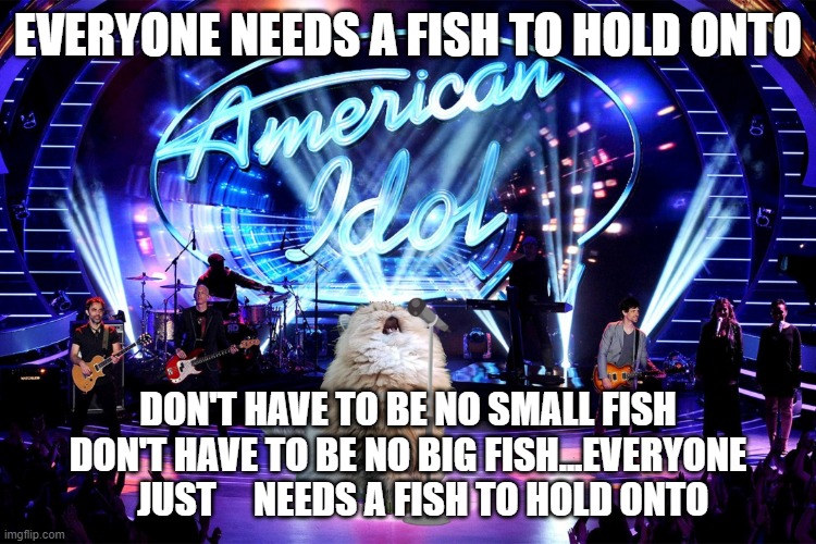 Singing cat | EVERYONE NEEDS A FISH TO HOLD ONTO DON'T HAVE TO BE NO SMALL FISH DON'T HAVE TO BE NO BIG FISH...EVERYONE     JUST     NEEDS A FISH TO HOLD  | image tagged in singing cat | made w/ Imgflip meme maker
