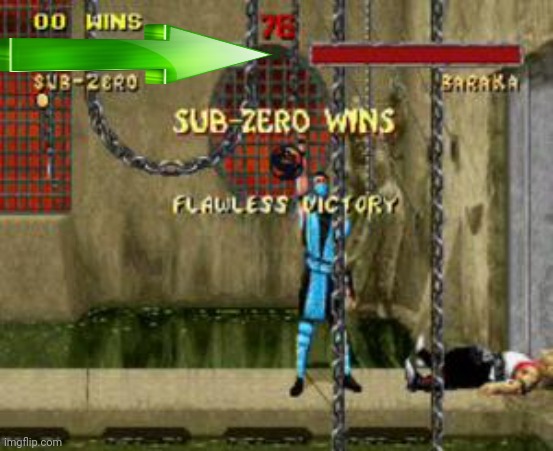 Sub Zero Flawless Victory Mortal Kombat | image tagged in sub zero flawless victory mortal kombat | made w/ Imgflip meme maker
