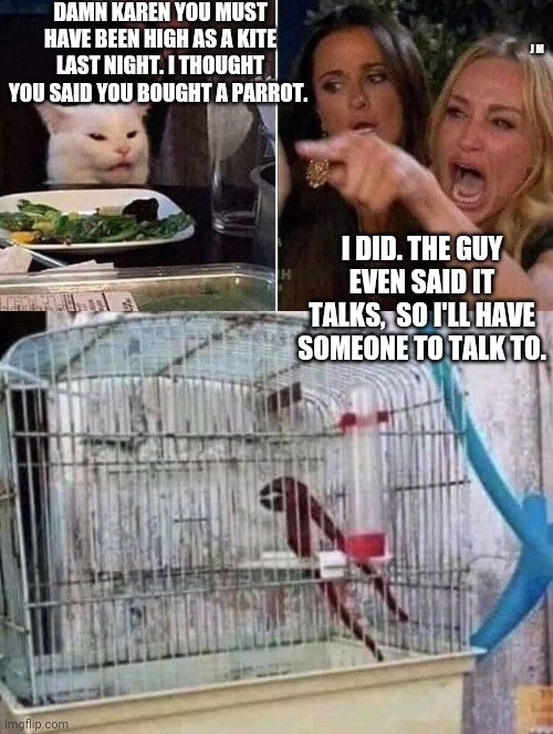 DAMN KAREN YOU MUST HAVE BEEN HIGH AS A KITE LAST NIGHT. I THOUGHT YOU SAID YOU BOUGHT A PARROT. J M; I DID. THE GUY EVEN SAID IT TALKS,  SO I'LL HAVE SOMEONE TO TALK TO. | image tagged in reverse smudge and karen | made w/ Imgflip meme maker