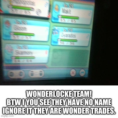 WONDERLOCKE TEAM!
BTW I YOU SEE THEY HAVE NO NAME IGNORE IT THEY ARE WONDER TRADES. | image tagged in f,u,c,k | made w/ Imgflip meme maker