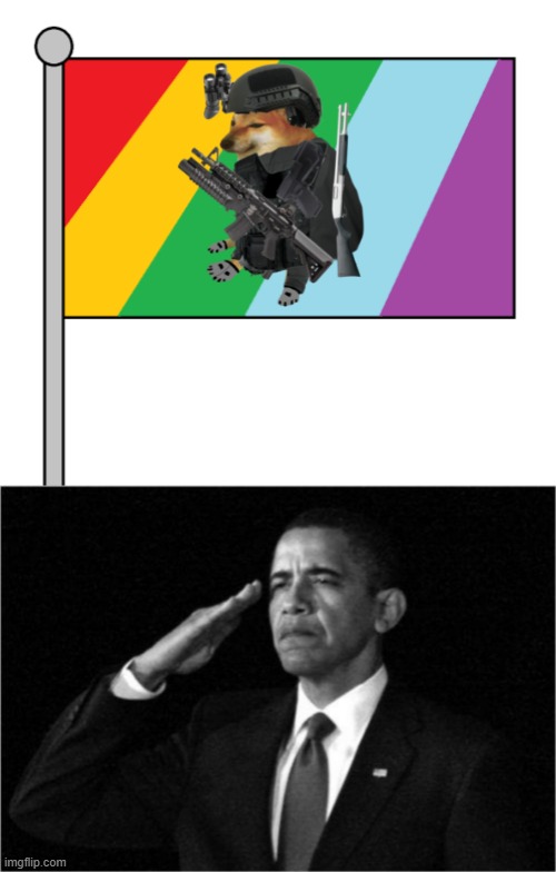 okay how about a flag | image tagged in obama-salute | made w/ Imgflip meme maker