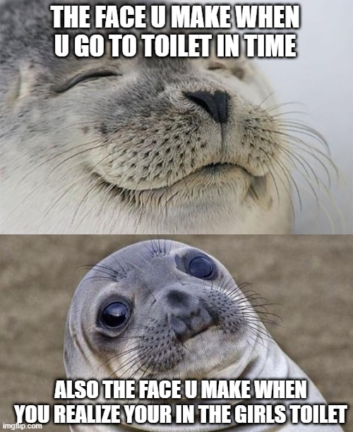 lmao | THE FACE U MAKE WHEN U GO TO TOILET IN TIME; ALSO THE FACE U MAKE WHEN YOU REALIZE YOUR IN THE GIRLS TOILET | image tagged in memes,satisfied seal,lmao,that awkward moment | made w/ Imgflip meme maker