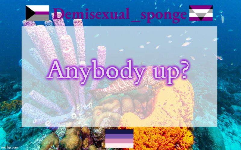 Demisexual_sponge's template (3) |  Anybody up? | image tagged in demisexual_sponge's template 3,demisexual_sponge | made w/ Imgflip meme maker