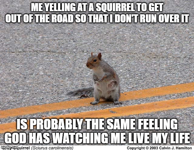 ME YELLING AT A SQUIRREL TO GET OUT OF THE ROAD SO THAT I DON'T RUN OVER IT; IS PROBABLY THE SAME FEELING GOD HAS WATCHING ME LIVE MY LIFE | made w/ Imgflip meme maker