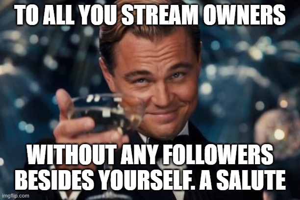 Leonardo Dicaprio Cheers | TO ALL YOU STREAM OWNERS; WITHOUT ANY FOLLOWERS BESIDES YOURSELF. A SALUTE | image tagged in memes,leonardo dicaprio cheers | made w/ Imgflip meme maker