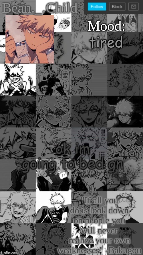 tired; ok im going to bed gn | image tagged in beanchild bakugou temp | made w/ Imgflip meme maker