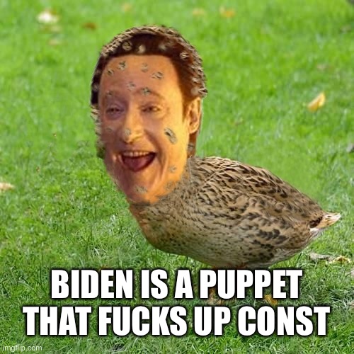 The Data Ducky | BIDEN IS A PUPPET THAT FUCKS UP CONSTANTLY | image tagged in the data ducky | made w/ Imgflip meme maker