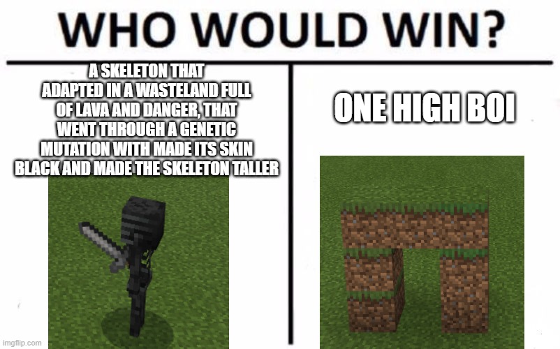 Who Would Win? | A SKELETON THAT ADAPTED IN A WASTELAND FULL OF LAVA AND DANGER, THAT WENT THROUGH A GENETIC MUTATION WITH MADE ITS SKIN BLACK AND MADE THE SKELETON TALLER; ONE HIGH BOI | image tagged in memes,who would win | made w/ Imgflip meme maker