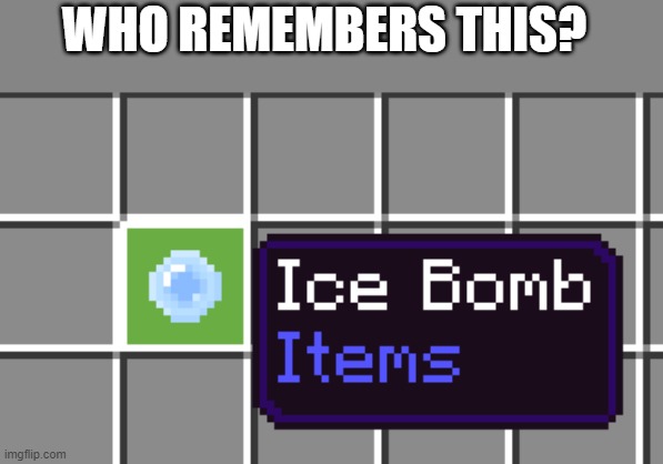 WHO REMEMBERS THIS? | image tagged in minecraft,minecraft memes,too much minecraft | made w/ Imgflip meme maker