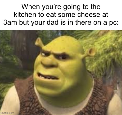 Dad?... you’re back? | When you’re going to the kitchen to eat some cheese at 3am but your dad is in there on a pc: | image tagged in confused shrek,3am | made w/ Imgflip meme maker