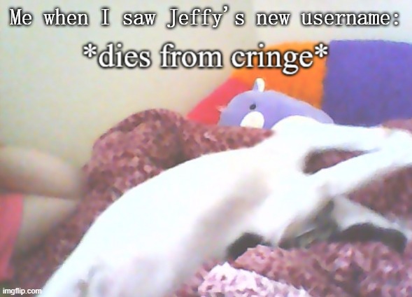 dies from cringe (yachi's puper edition) | Me when I saw Jeffy's new username: | image tagged in dies from cringe yachi's puper edition | made w/ Imgflip meme maker