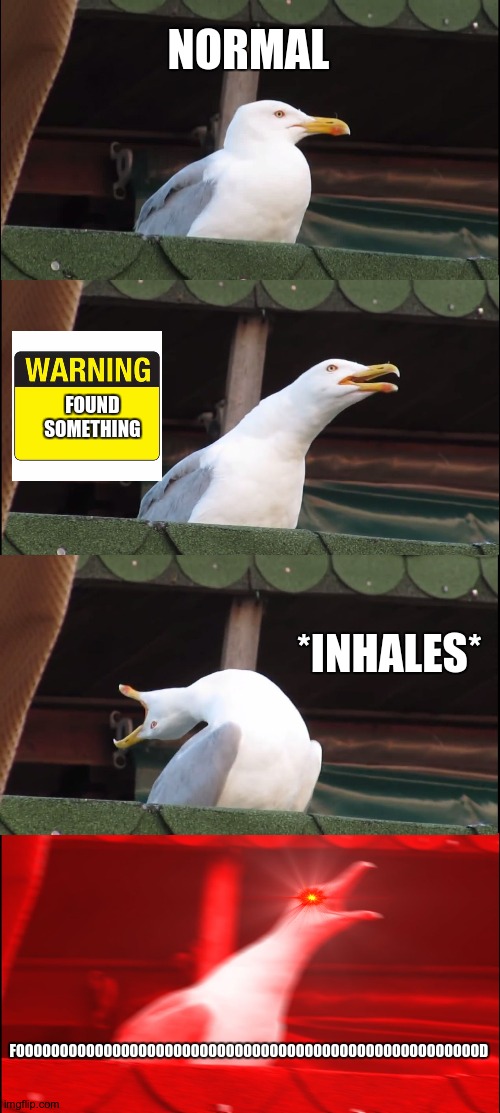 My mind | NORMAL; FOUND
SOMETHING; *INHALES*; FOOOOOOOOOOOOOOOOOOOOOOOOOOOOOOOOOOOOOOOOOOOOOOOOOOOOOD | image tagged in memes,inhaling seagull | made w/ Imgflip meme maker