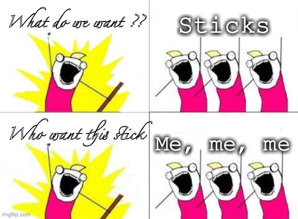 Sticks for everybody | What do we want ?? Sticks; Me, me, me; Who want this stick | image tagged in memes,what do we want,stick | made w/ Imgflip meme maker
