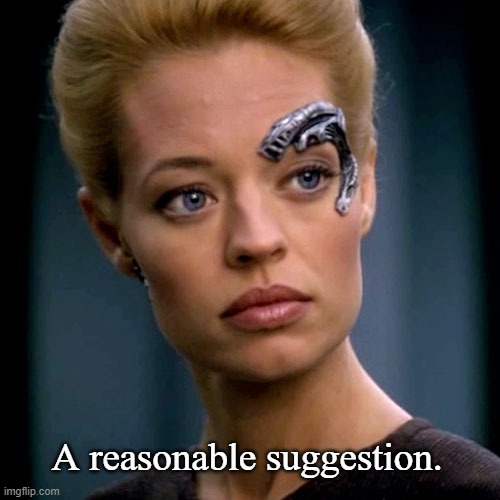 Seven of Nine Serious | A reasonable suggestion. | image tagged in seven of nine serious | made w/ Imgflip meme maker