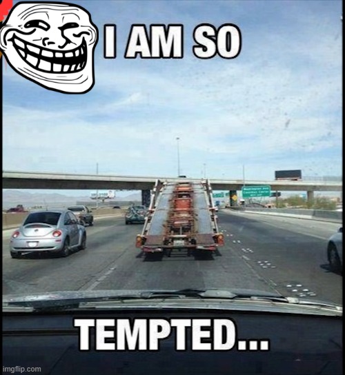 Would you do it? | image tagged in funny memes | made w/ Imgflip meme maker