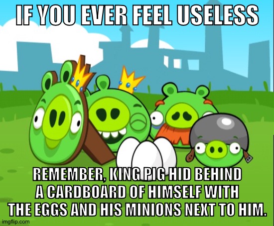 IF YOU EVER FEEL USELESS; REMEMBER, KING PIG HID BEHIND A CARDBOARD OF HIMSELF WITH THE EGGS AND HIS MINIONS NEXT TO HIM. | made w/ Imgflip meme maker