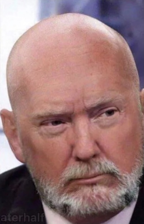 Bald Trump | image tagged in bald trump | made w/ Imgflip meme maker