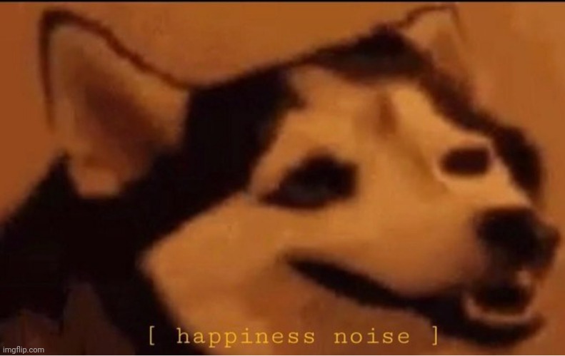 happines noise | image tagged in happines noise | made w/ Imgflip meme maker