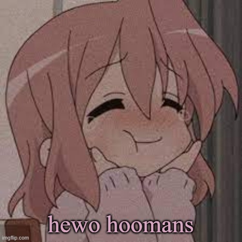 Coot | hewo hoomans | image tagged in coot | made w/ Imgflip meme maker