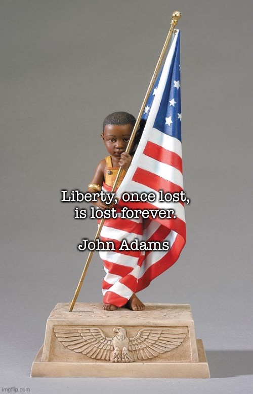 Public Service Announcement | John Adams; Liberty, once lost,
is lost forever. | image tagged in patriotism | made w/ Imgflip meme maker