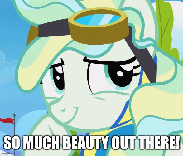 SO MUCH BEAUTY OUT THERE! | made w/ Imgflip meme maker