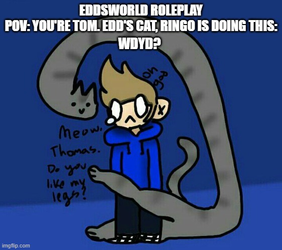 ringo those are noice l e g z | EDDSWORLD ROLEPLAY
POV: YOU'RE TOM. EDD'S CAT, RINGO IS DOING THIS:; WDYD? | made w/ Imgflip meme maker