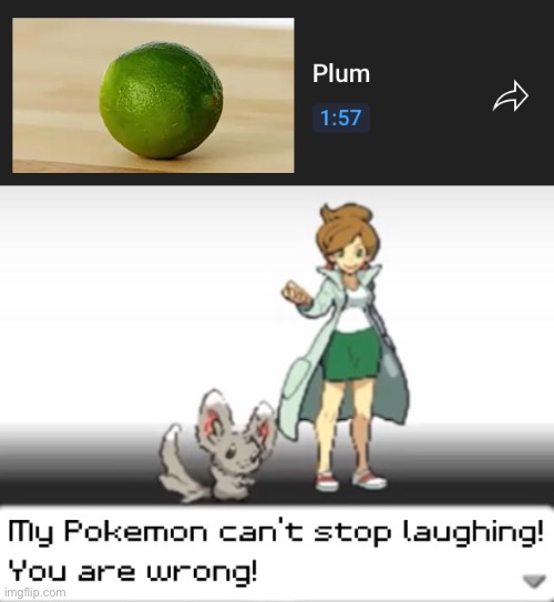 ah yes, a plum | image tagged in my pokemon can't stop laughing you are wrong | made w/ Imgflip meme maker