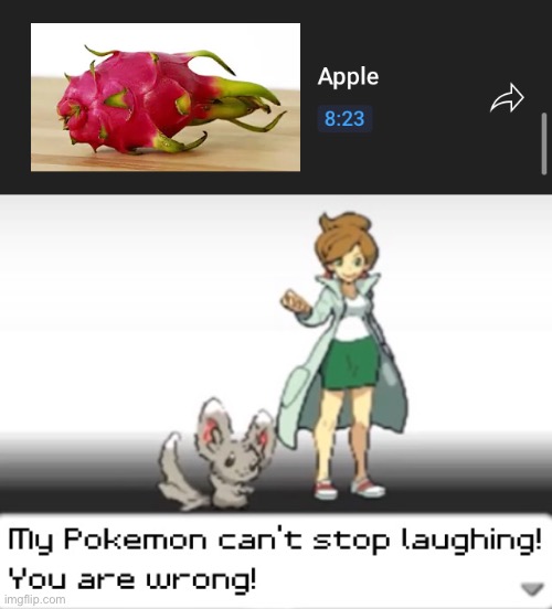 Ah yes, appele | image tagged in my pokemon can't stop laughing you are wrong | made w/ Imgflip meme maker