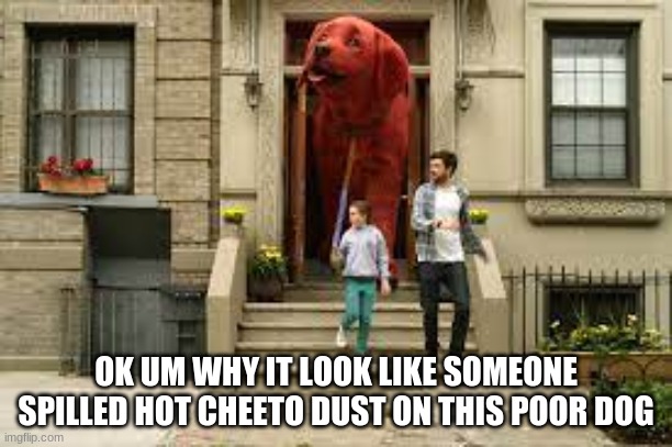 OK UM WHY IT LOOK LIKE SOMEONE SPILLED HOT CHEETO DUST ON THIS POOR DOG | made w/ Imgflip meme maker