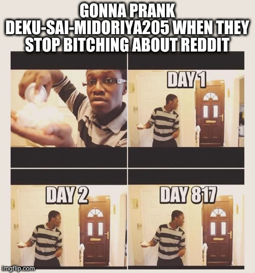 gonna prank x when he/she gets home | GONNA PRANK DEKU-SAI-MIDORIYA205 WHEN THEY STOP BITCHING ABOUT REDDIT | image tagged in gonna prank x when he/she gets home | made w/ Imgflip meme maker
