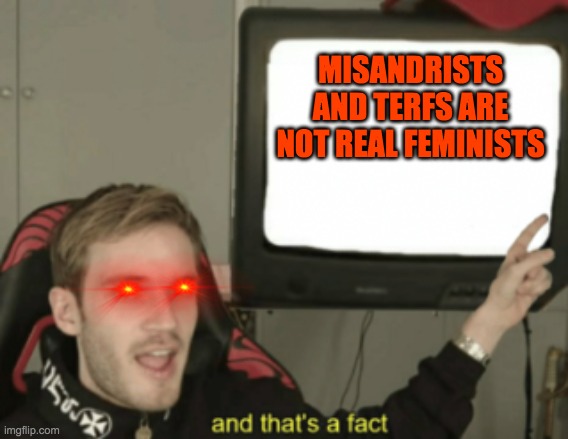 and that's a fact | MISANDRISTS AND TERFS ARE NOT REAL FEMINISTS | image tagged in and that's a fact | made w/ Imgflip meme maker