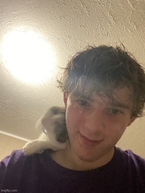 My cat loves my wet hair for some reason | made w/ Imgflip meme maker